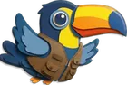 Toucan